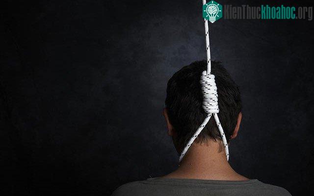 Việc một người hoặc nhiều người tự sát sẽ góp phần thúc đẩy hành vi tương tự đối với người xung quanh.