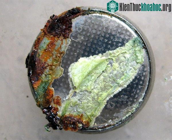 Thực ra pin để không dùng cũng tự xả và đến một lúc nào đó cũng sẽ bị chảy nước.