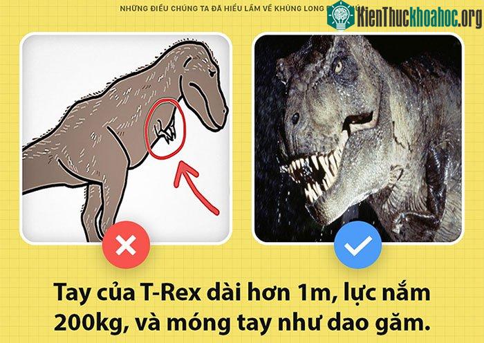 Tay khủng long bạo chúa không hề bé như mọi người vẫn nghĩ