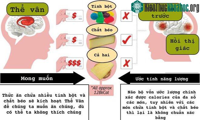 Hệ thống chịu trách nhiệm đến quyết định chọn món của chúng ta