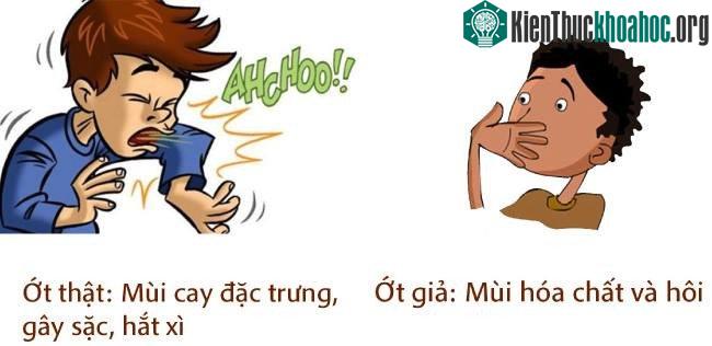 Mùi của ớt bột thật
