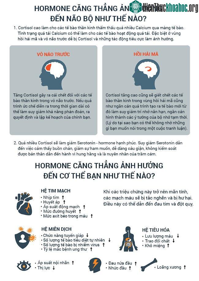 Hormone căng thẳng có thể dẫn đến đau tim và đột quỵ.