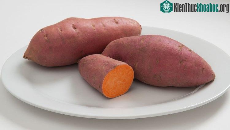 Khoai lang cam chứa rất nhiều vitamin A.