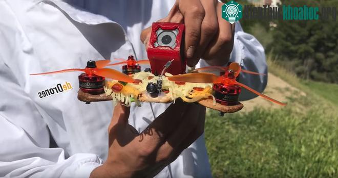 El Drone Pizza.