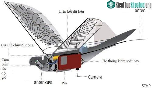 Thiết kế của máy bay không người lái thuộc chương trình
