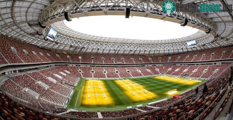 Theo yêu cầu của FIFA sân bóng sẽ được trải cỏ tự nhiên.