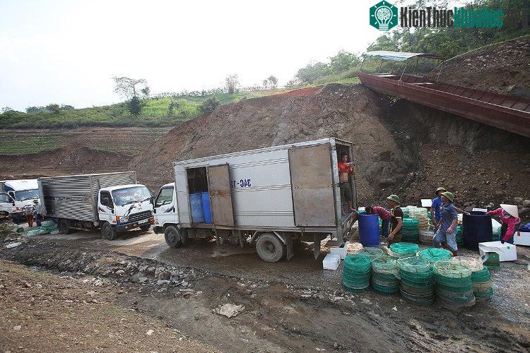 Xe tải xếp hàng xuống bến thu mua thủy sản