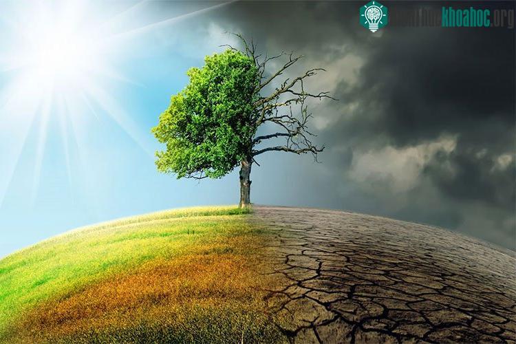 Từ loài tôm nhỏ bé, mà quá trình biến đổi khí hậu có thể bị tác động rất lớn.