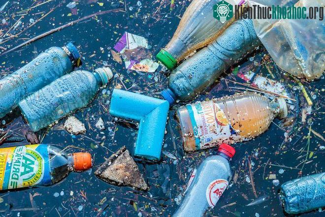 Loại vi khuẩn có thể sử dụng PETase chỉ mới phát triển gần đây.
