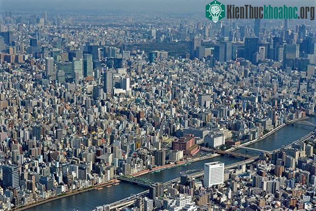 Xu hướng đô thị hóa sẽ tạo ra những vấn đề mang tính cấp bách cho các thành phố.