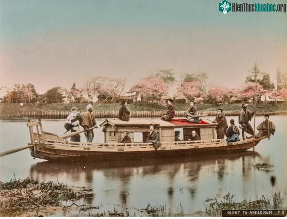 Chèo thuyền trên sông Sumida là một trong những trò tiêu khiển trong thời kỳ Edo.