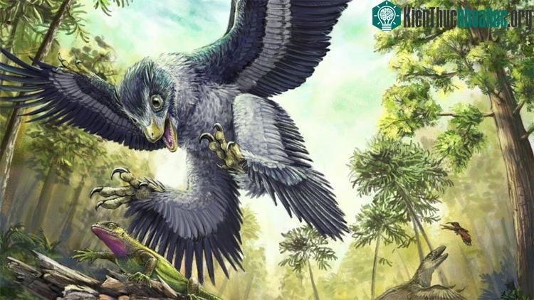 Các loài chim trước kia đều là khủng long. (ảnh minh họa).