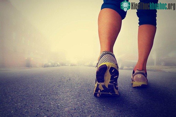 Hệ thống đạt độ chính xác trung bình đạt 100% khi nhận diện các cá nhân.
