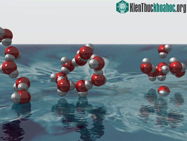 Nước có thể chuyển đổi giữa 2 dạng chất lỏng khi đạt đến nhiệt độ và áp suất phù hợp.