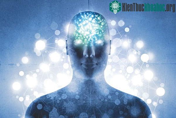Nhiều người dùng psilocybin cho hay họ có cảm giác “kết nối” tốt hơn nhưng mang tính tích cực.