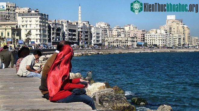 Hầu hết người dân tại Alexandria chưa nhận thức được tác hại của biến đổi khí hậu.