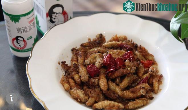 Hoặc biến gián thành những món ăn khoái khẩu cho người như sushi, gián xào, rán, chiên,...