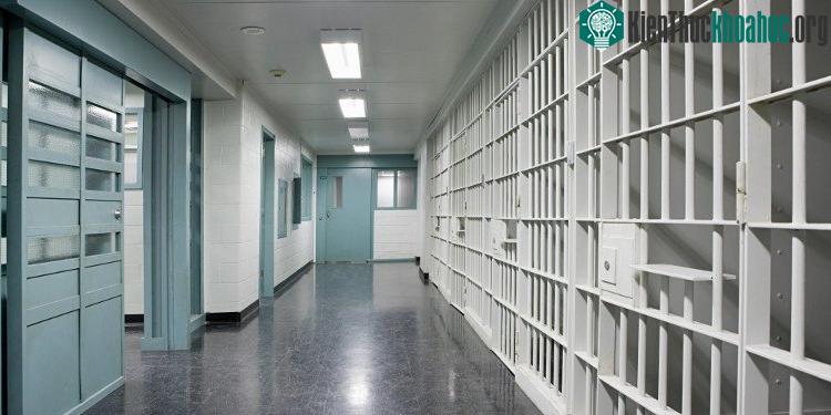 Tù nhân sau khi được ra tù có ít khả năng để sống và làm việc theo pháp luật hơn trước khi bị giam giữ.