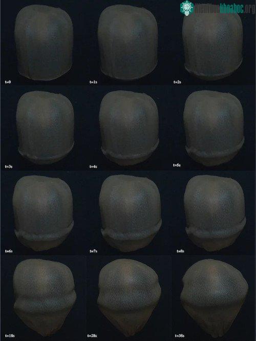 Một số hình ảnh về