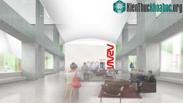Maurer đã tiến hành nghiên cứu rễ nấm tại Redhouse Studio Architecture trong suốt 3 năm qua.