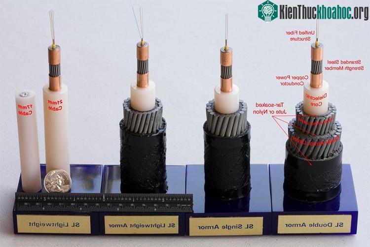 Có nhiều loại cáp biển khác nhau, phân biệt bởi độ dày đường kính và vật liệu chế tạo