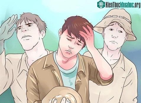 Đừng hoảng loạn khi bị lạc vào rừng