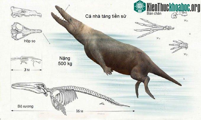 Cá nhà táng tiền sử