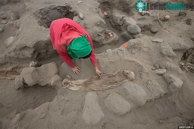 Các nhà khoa học bất ngờ vì mức độ bi thảm của các nghi thức hiến tế tại Peru - (ảnh: REUTERS).