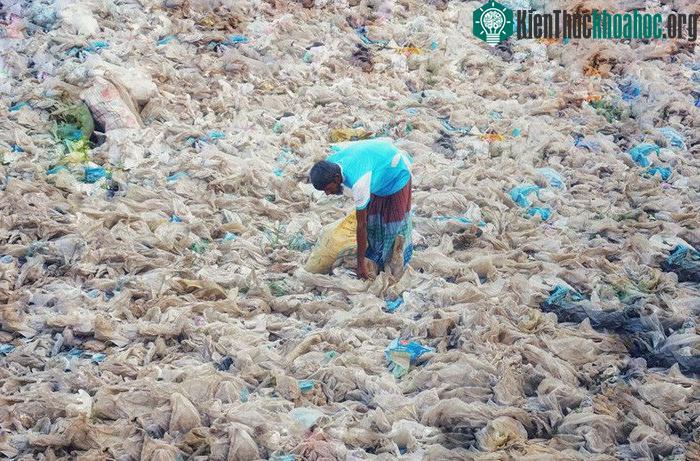 Phần lớn rác thải nhựa hiện không được tái chế