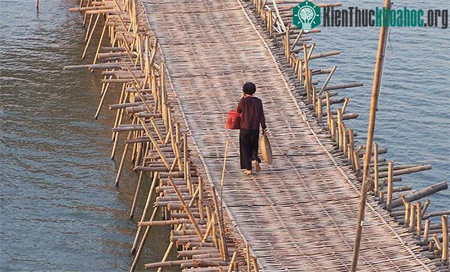 Cây cầu đủ rộng rãi và vững vàng để chịu trọng tải của phương tiện nhẹ.