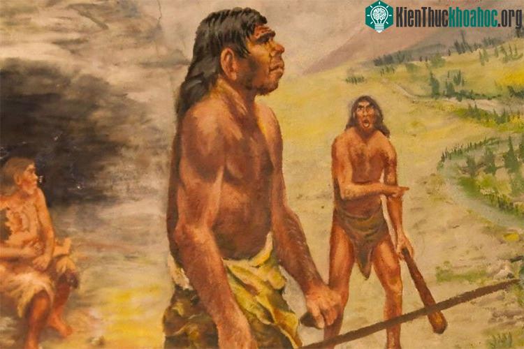 Gene FOXP2 cũng có ở tổ tiên của con người hiện đại và tuyệt nhiên không phải chỉ con người hiện đại chúng ta mới sở hữu.