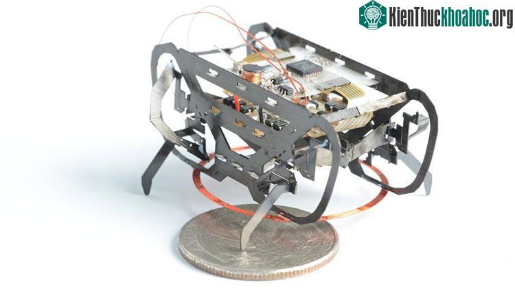 HAMR là một một chú robot nặng 1,5 gam có thể di chuyển trên mọi địa hình.