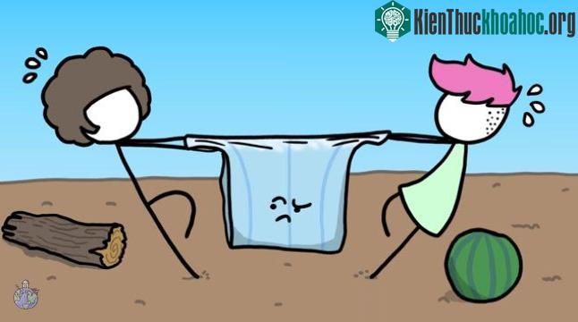 Những vật dụng nhựa tồn tại rất dai dẳng.