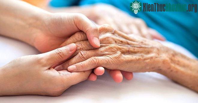 Các nhà khoa học dường như đã đảo ngược được quá trình lão hóa của tế bào người.