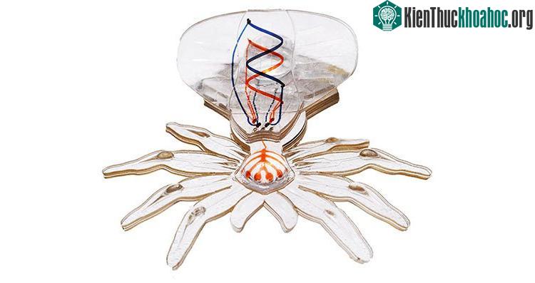 Robot nhện có thể phẫu thuật.