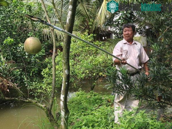 Ông Lê Phước Lộc trình diễn cách sử dụng kéo cắt tỉa đa năng.