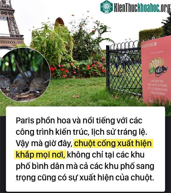 Kinh hoàng