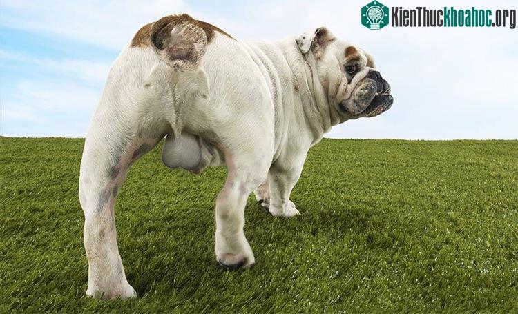 Tại sao lại để ở cái vị trí dễ tổn thương thế này?