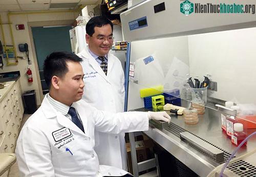 Tiến sĩ Phan Minh Liêm, Trung tâm ung thư MD Anderson (Đại học Texas, Mỹ).