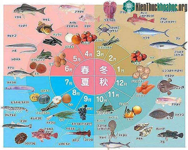 Những món rau củ, trái cây và hải sản theo mùa sẽ có được sự tươi ngon và dinh dưỡng tốt nhất.