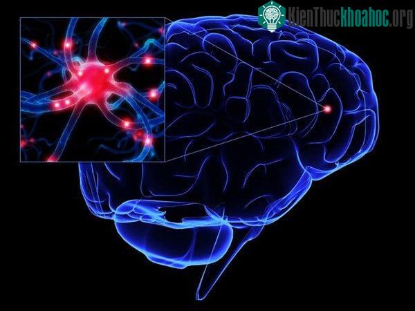 Mỗi phút trôi qua, não bộ lại hình thành vô số ký ức mới