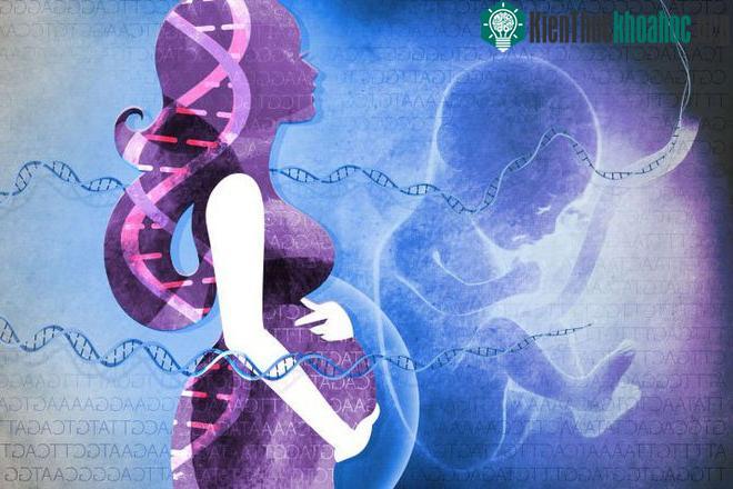 Bé gái này sinh ra với bộ gene gần như được lấy từ người cha. (Ảnh minh họa)