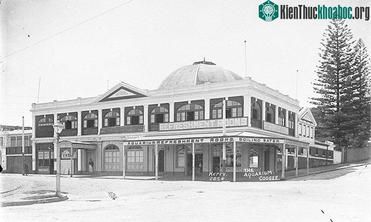 Thời điểm mới khánh thành, thủy cung Coogee là một trong những điểm vui chơi thu hút đông người ghé thăm. (Ảnh: Dictionary of Sydney).