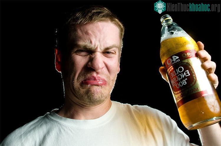 Nhiều người ghét vị của bia chung quy là do di truyền.