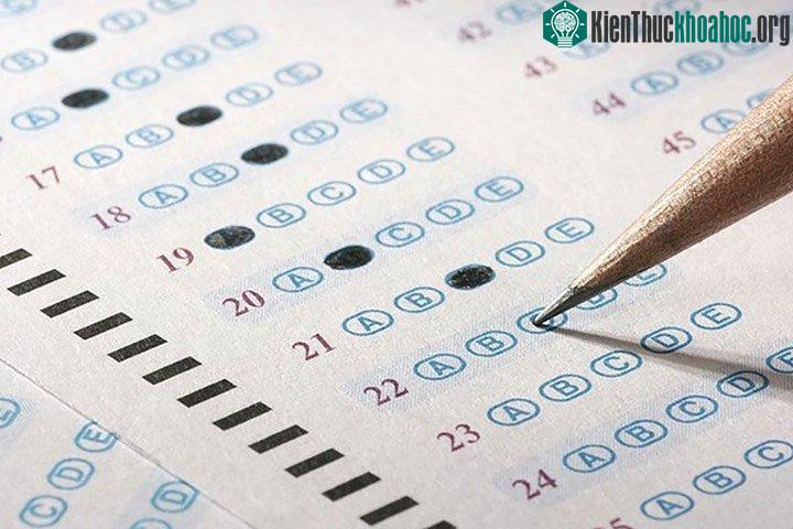 Bút chì được ưu tiên hơn vì bạn có thể dễ dàng xóa đi lựa chọn của mình trước đó.