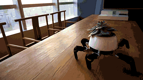 Robot sáu chân đội một cái cây trên đầu.