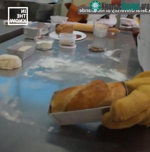 Bánh mì làm từ bột gián.