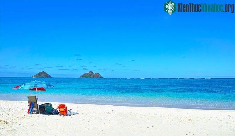 Cát trắng ở các bãi biển đẹp nhất trên thế giới thật ra chính là phân của loài cá mó.