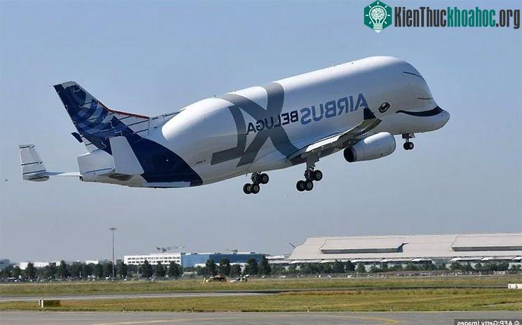 http://img.khoahoc.tv/photos/image/2018/07/21/belugaxl-airbus.jpg