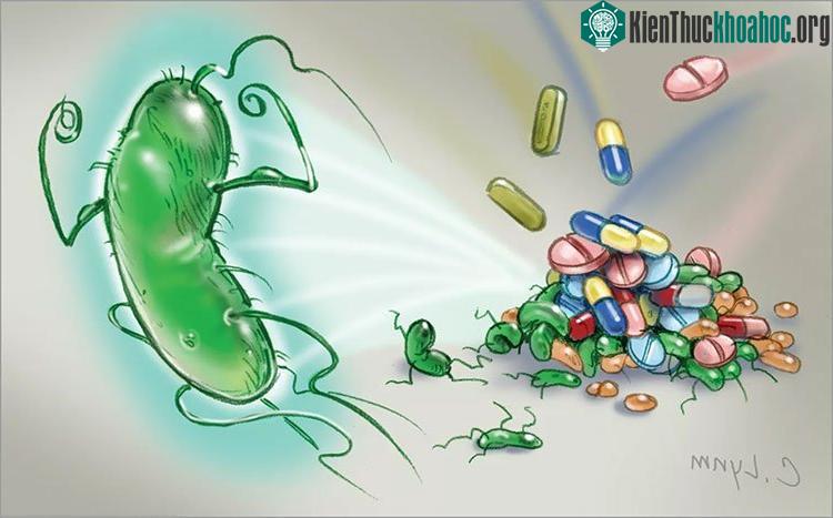 Khuẩn kháng thuốc là cơn ác mộng sắp tới của loài người.